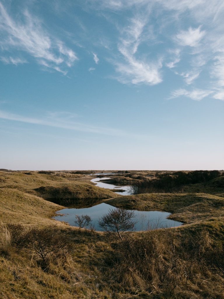 ameland